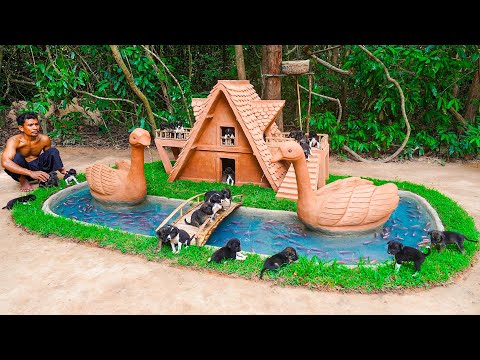 Watch These Puppies Explore Their New Home!